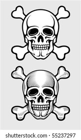 skull with skeleton bones piratic symbol vector illustration