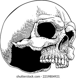 Skull skeleton grim reaper mascot, original illustration in a vintage retro woodcut etching style.
