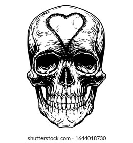 Skull, skeleton head anatomy ink line hand drawn engraving. Tattoo desing. Black on white background. Hand drawn line art vector illustration for design print shirt, poster, textiles, tattoo, cover. 