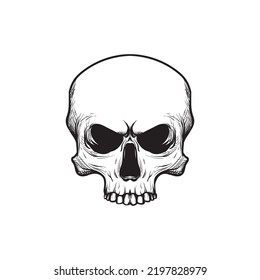 Skull. Skeleton head. engraving style, for illustration, logo, emblem, T shirt, sticker, and more