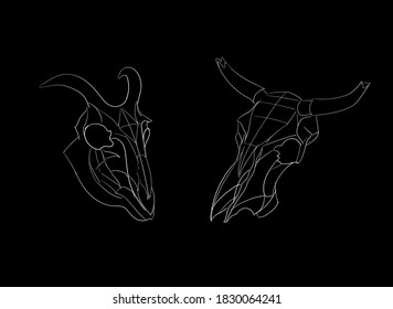 skull, sketch, chalk, vector graphics, illustration on black background