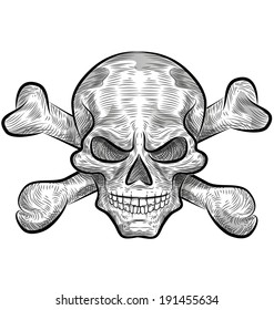 skull sketch design isolate on white