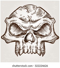 skull sketch design on background