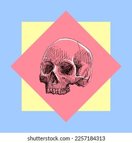 Skull Sketch illustration vector eps