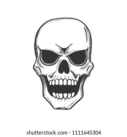 Skull sketch of scary human skeleton. Vintage skull with evil face isolated icon of death danger symbol for tattoo or Halloween sign design