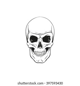 Skull Sketch Tattoo Design Hand Drawn Stock Vector (Royalty Free ...