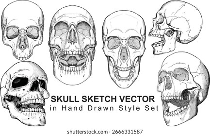 Vector de boceto de cráneo en conjunto de estilo dibujado a mano