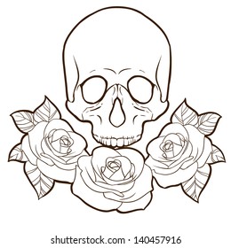 skull sketch for your needs