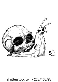 skull snail crawling vector illustration