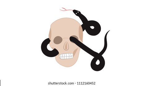skull with a snake