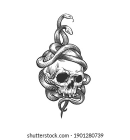 The skull and the snake. Can be used as a sketch of a tattoo.