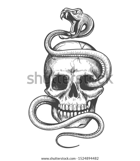 頭蓋骨と蛇の絵 頭蓋骨に悪魔のコンセプトクリップアートが絡み合い 悪魔的なアメリカの伝統的なベクターアートでヘビと人間の骨の頭を持つ のベクター画像素材 ロイヤリティフリー