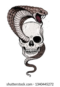 Skull and snake hand drawn illustration. Tattoo vintage print. Skull hand drawn print. Tattoo design. 