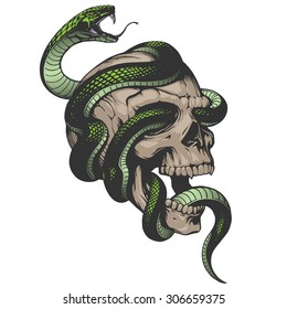 Skull With Snake Illustration