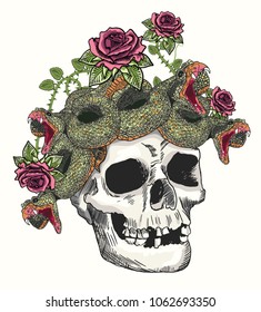 skull and snake in the roses.Vector illustration