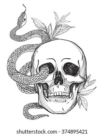 Skull and Snake. Tattoo art, coloring books. Hand drawn vintage vector illustration Isolated on white background.