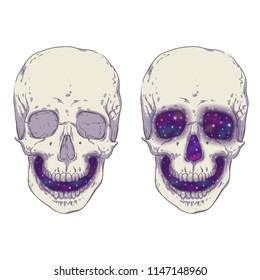 Skull. Space inside