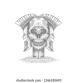 skull spartan vector illustration