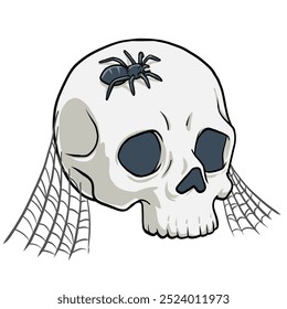 A skull with spider and spiderweb for halloween decoration