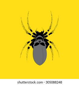 skull and spider , Vector illustration