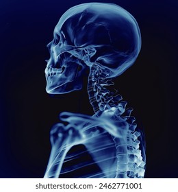 Skull and spine x-ray film on a dark blue background, side view