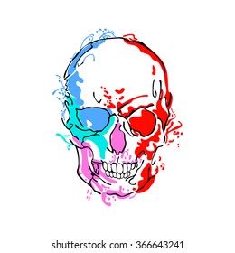 Skull. Splashes and drops of paint. Isolated object on white background.