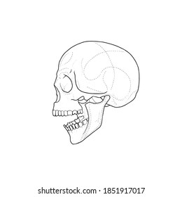 Skull stencil, tattoo design hand draw vector illustration