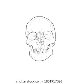 Skull stencil, tattoo design hand draw vector illustration