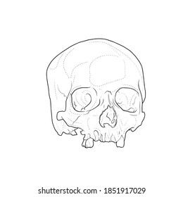 Skull stencil, tattoo design hand draw vector illustration