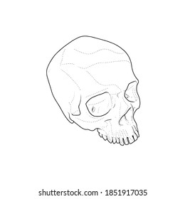 Skull stencil, tattoo design hand draw vector illustration