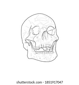 Lápiz de cráneo, ilustración vectorial de dibujos a mano de diseño de tatuajes