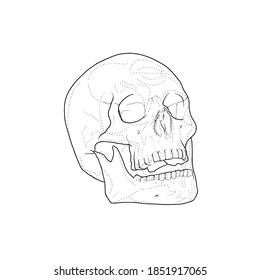 Skull stencil, tattoo design hand draw vector illustration