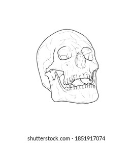 Skull stencil, tattoo design hand draw vector illustration