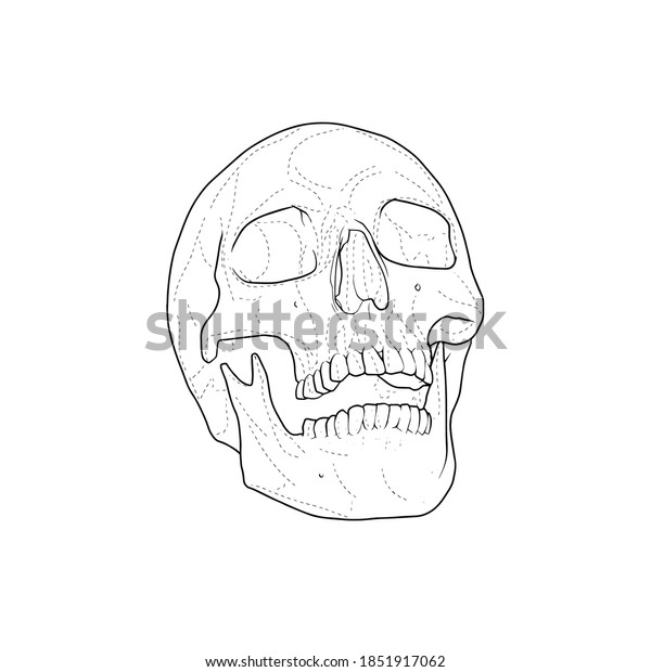 skull stencil tattoo design hand draw stock vector royalty free 1851917062