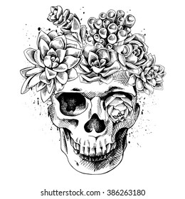 Skull with the succulent plants. Vector illustration.