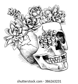 Skull and the succulent
