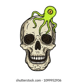 Skull with symbiote. A human skull with a parasite.