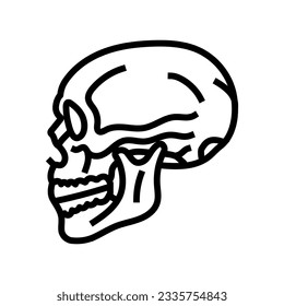 skull tattoo art vintage line icon vector. skull tattoo art vintage sign. isolated contour symbol black illustration