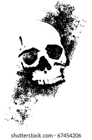 Skull with texture