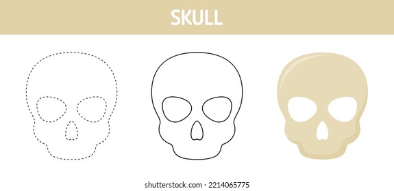 Skull tracing and coloring worksheet for kids