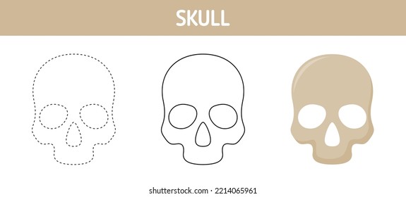 Skull tracing and coloring worksheet for kids