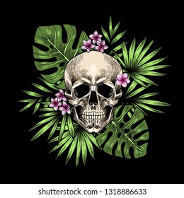 Skull and tropical leaves . Hand drawn. Vintage style