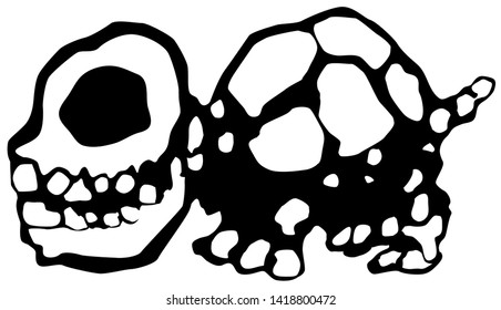 Skull turtle stencil black, vector illustration, horizontal, isolated