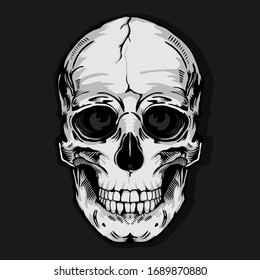 skull typography, tee shirt graphics, vectors