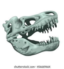 The skull of Tyrannosaurus isolated on white background. Vector cartoon close-up illustration.