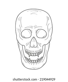  skull with  vampire teeth on white background, vector, sketch