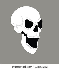 skull, vector