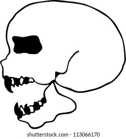 Skull vector