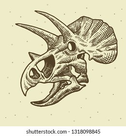 skull in vector
