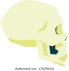Skull vector adult to profile